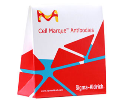 Антитела Cell Marque для диагностики in vitro