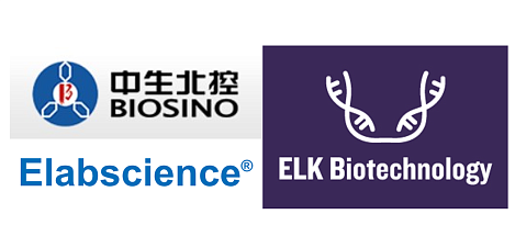 Компания &quot;БиоВитрум&quot; стала партнером компаний ELK Biotechnology, Elabscience и BioSino по дистрибуции продукции для исследований в рамках онкодиагностики